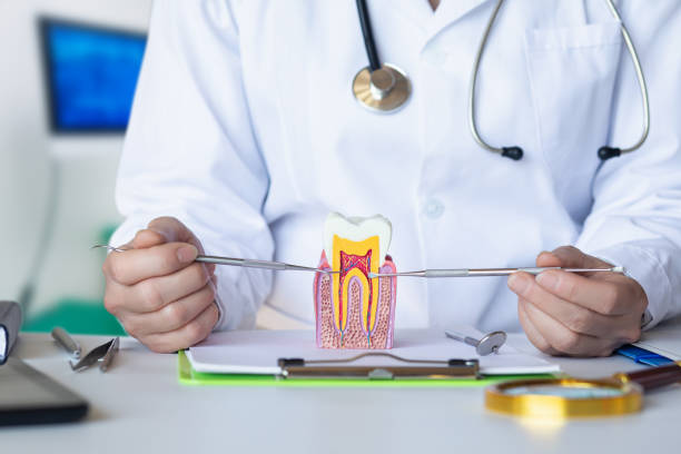 Best Weekend Emergency Dentist in Rome City, IN